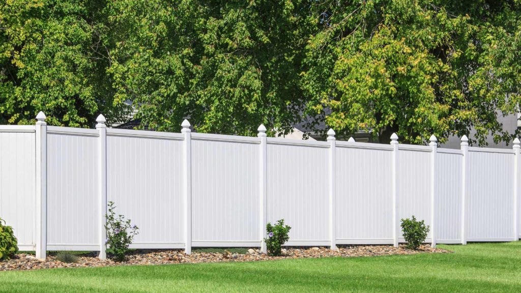 Fencing 6